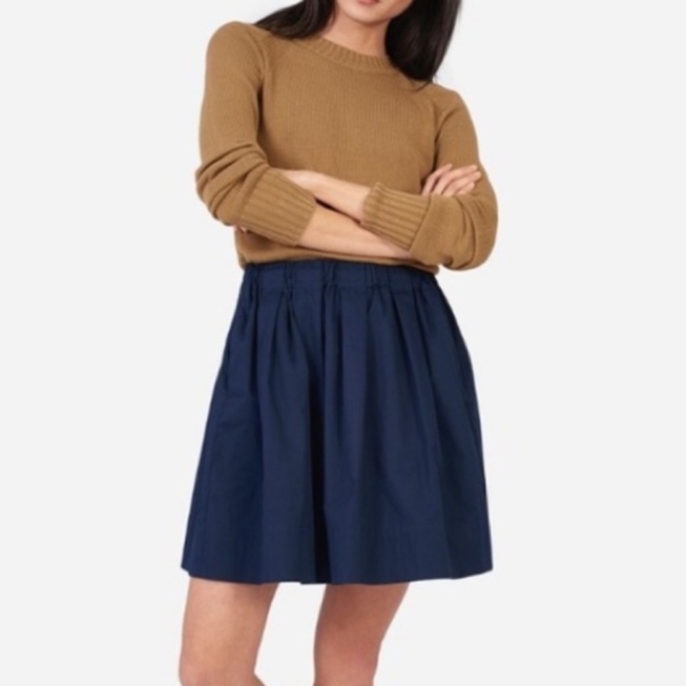 Everlane cotton poplin mini skirt